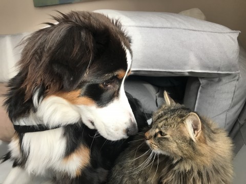 #bestfriends